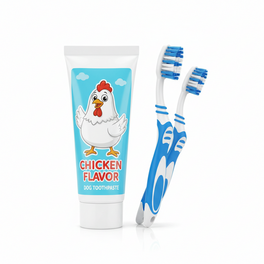 Dentifrice + Brosse à Dents pour Chiens