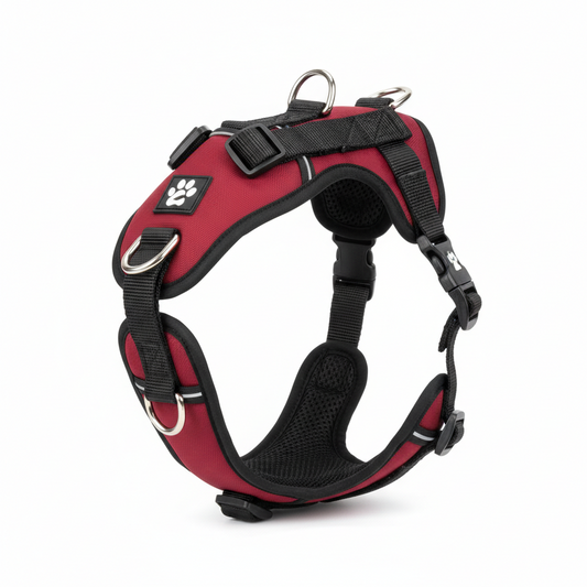 Harnais Anti-Traction Réglable pour Chien — Double Anneau & Rembourré