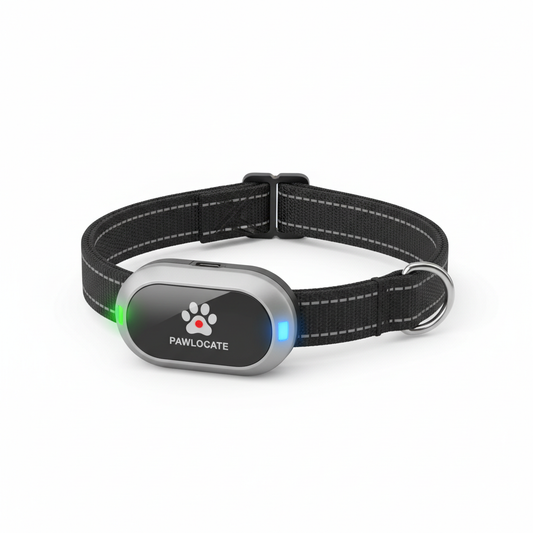 Collier GPS Connecté pour Chien et Chat