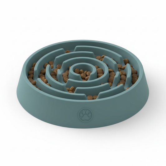 Gamelle Anti-Glouton pour Chien