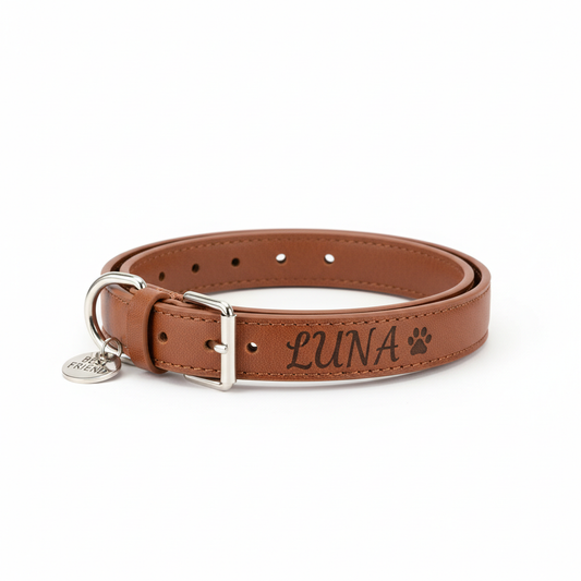Collier Personnalisé Gravé pour Chien et Chat