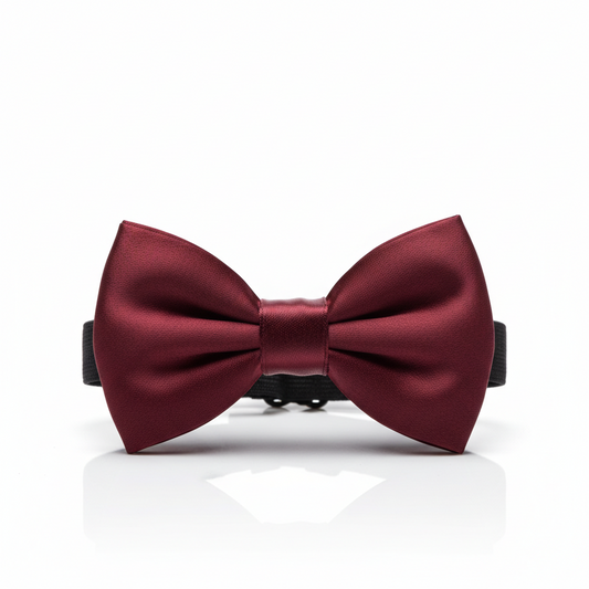 Nœud Papillon de Luxe pour Chien et Chat